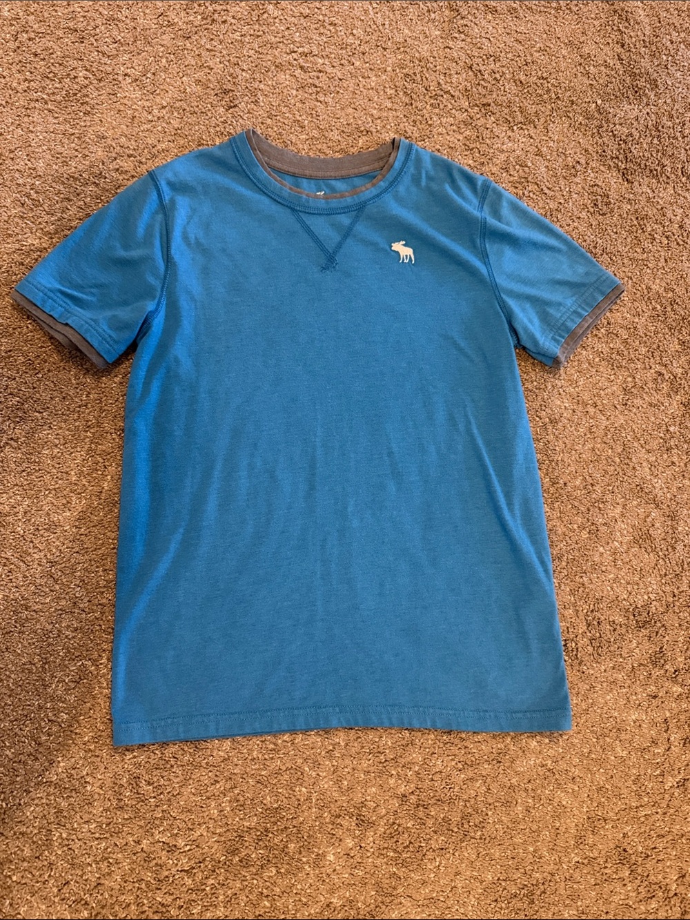 abercrombie kids Blue Crew Neck T-Shirt with Gray Trim